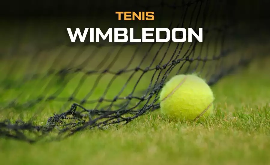 Wimbledon program - výsledky, pavouk, česi živě v TV a online