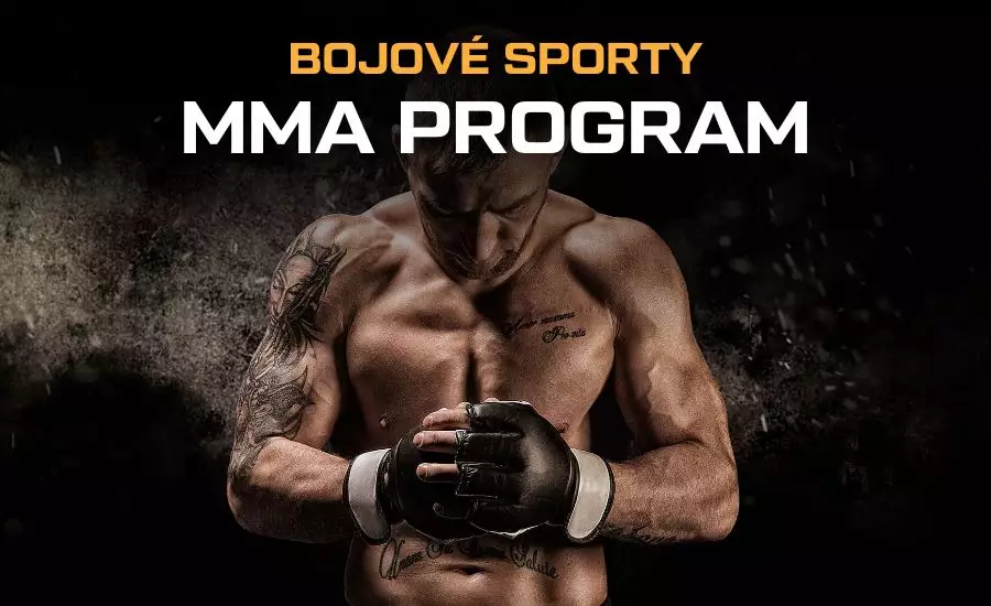 MMA zápasy - kalendář MMA, program, turnaje