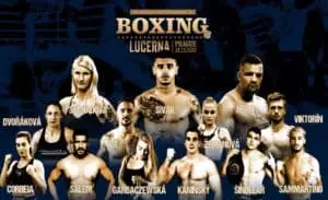 Box Lucerna 2023