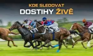 Kde sledovat dostihy živě