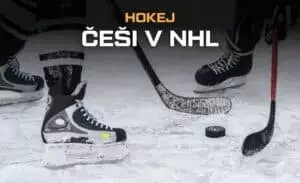 Češi v NHL