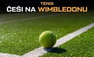 Češi na Wimbledonu 2024