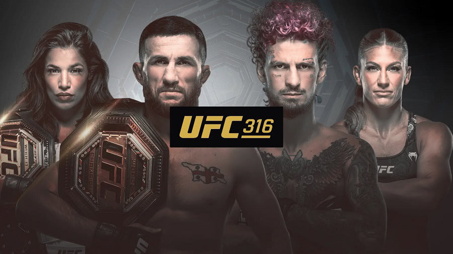UFC 316