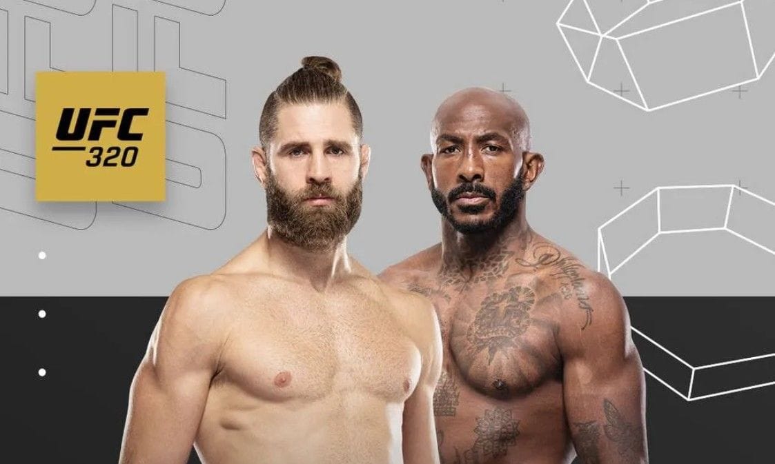 Jiří Procházka UFC