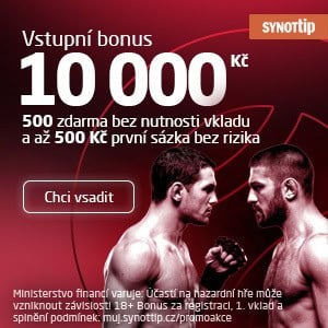 Bonus 1 000 Kč od Synotu zdarma