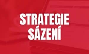 Strategie sázení