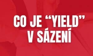 Co je yield v sázení