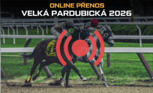 Velká pardubická 2026 ONLINE |11.10.| Přenos a live stream zdarma na nejslavnější český dostih